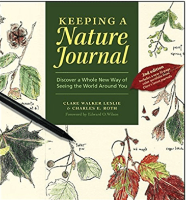 Screen Shot 2018-05-28 at 5.32.50 PM