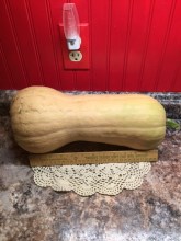 butternut squash