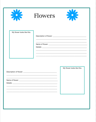 Screen Shot 2017-07-28 at 6.38.12 AM