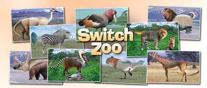 Screen Shot 2019-08-18 at 5.04.01 PM